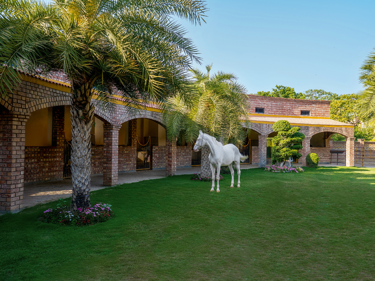 Zora Stud Farm